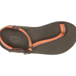 Discount Chaco Men's Bodhi Adjustable Strap Classic Sandal Belt Java