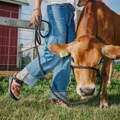 Sale Chaco Men's Mega Cow Z/1 Wide-Strap Classic Sandal Cow Print