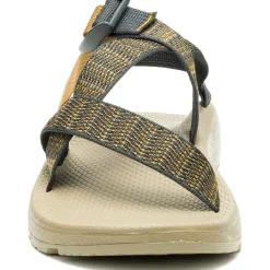 Best Chaco Men's Z/Cloud Adjustable Strap Cushioned Sandal Bit Mountain