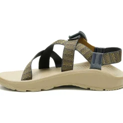 Best Chaco Men's Z/Cloud Adjustable Strap Cushioned Sandal Bit Mountain