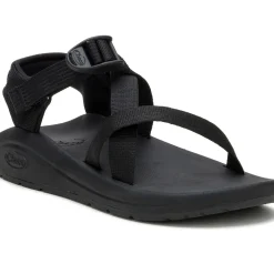Best Chaco Women's CushZ Extra Cushioned Sandal Black